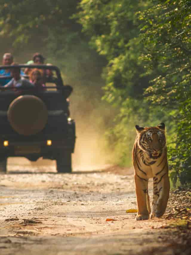 Ramnagar | Uttarakhand | Just Home Stay