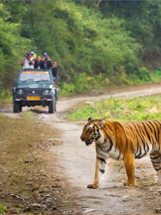 Jim Corbett | Uttarakhand  | Just Home Stay