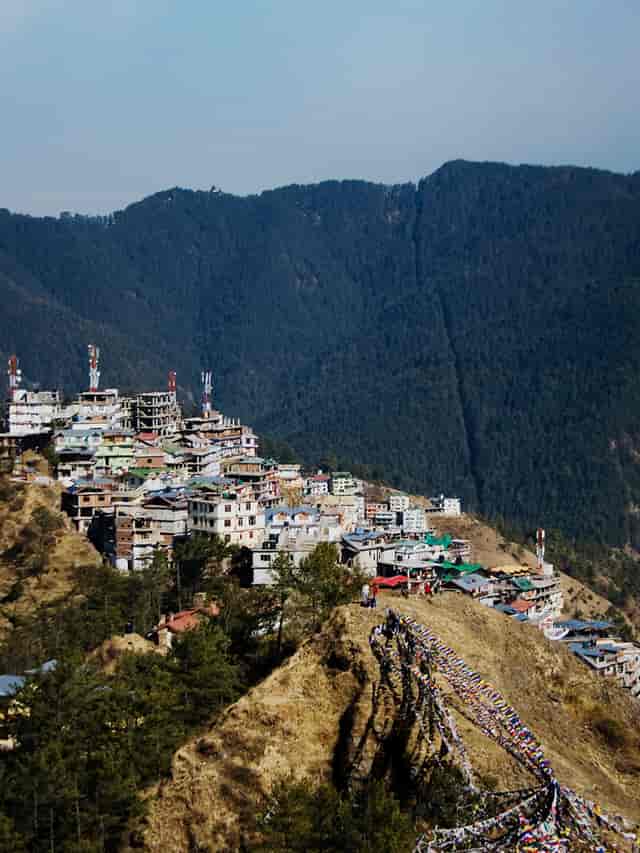 Theog | Himachal Pradesh | Just Home Stay