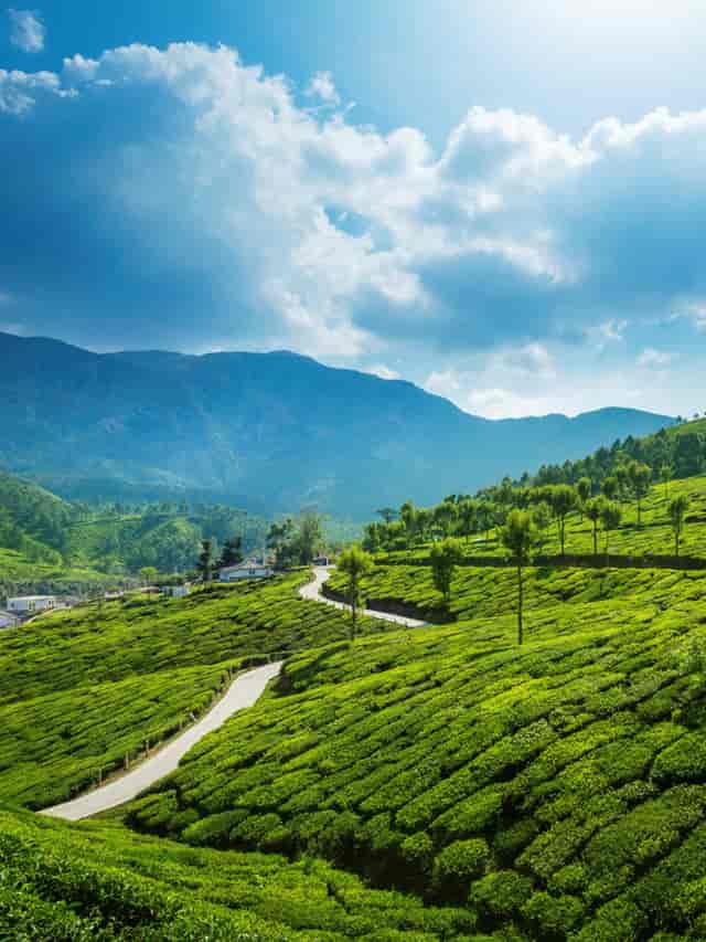 Munnar | Kerala | Just Home Stay